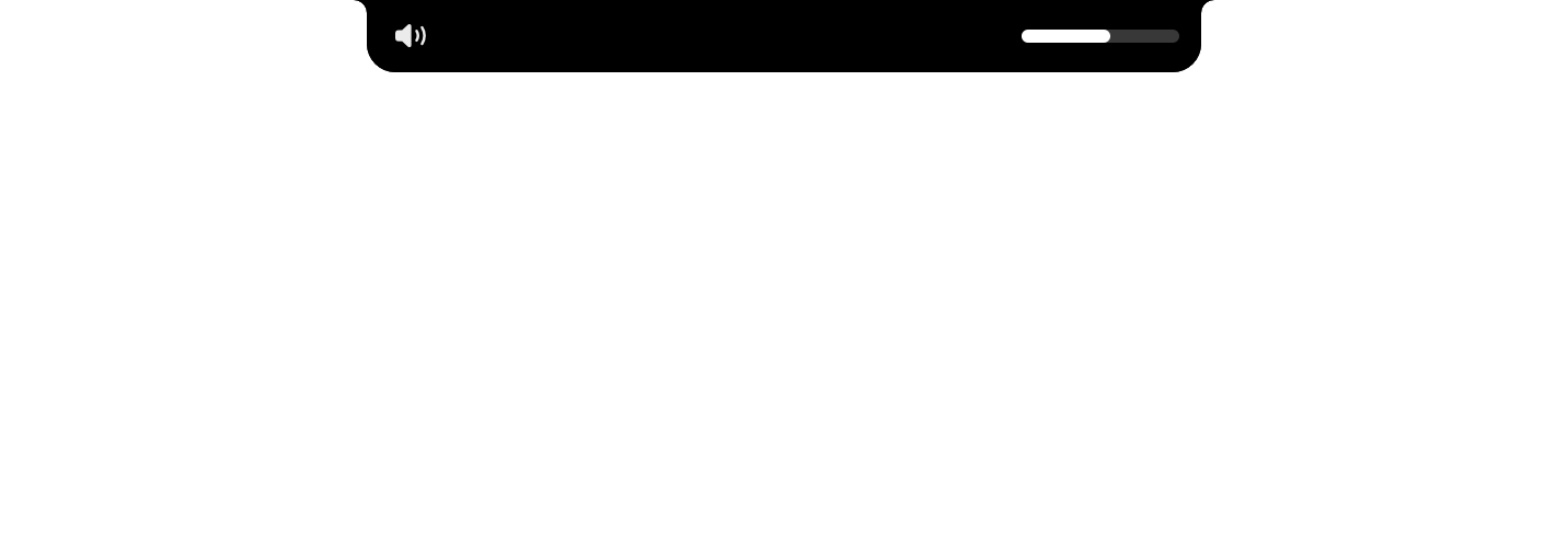 A volume key: a speaker left of the notch, a white level bar right of it.